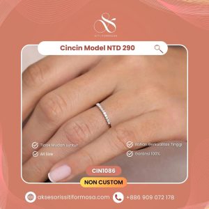 CIN1086 - Cincin Model